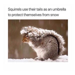 Meet your Posher, Juwan